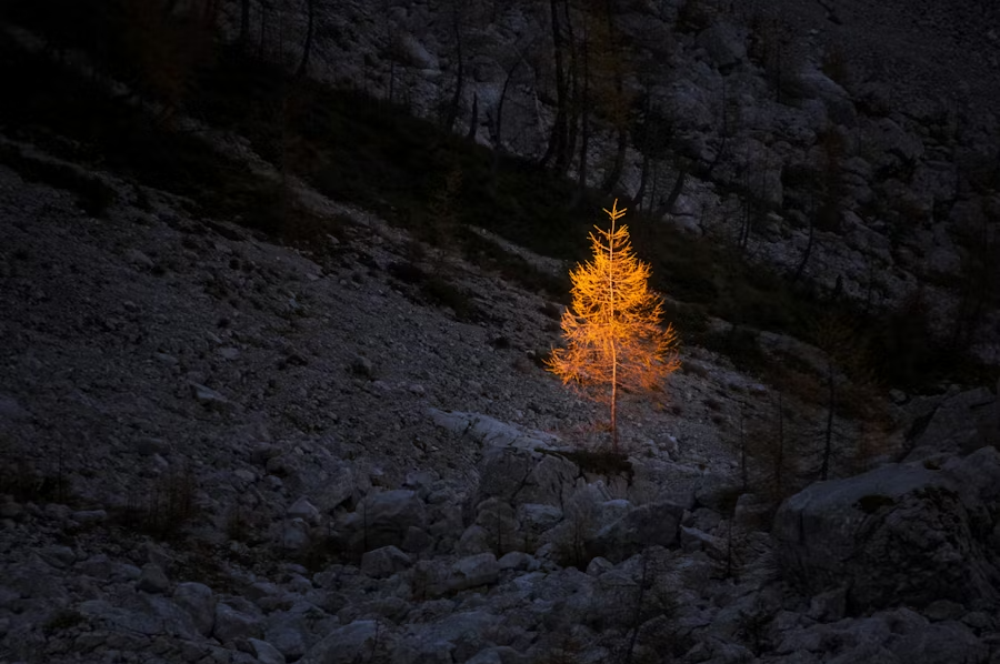 Gridea Pro MCP 的设计理念与技术取舍